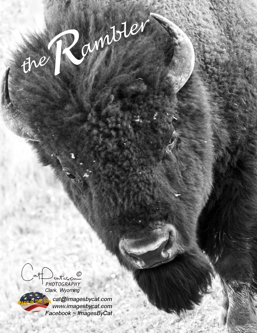 Note Cards - THE RAMBLER