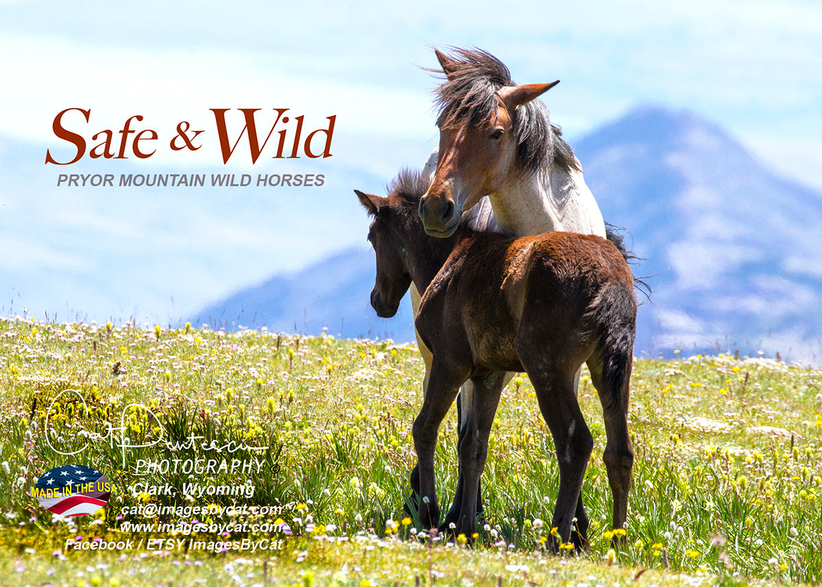 Greeting Card - SAFE & WILD