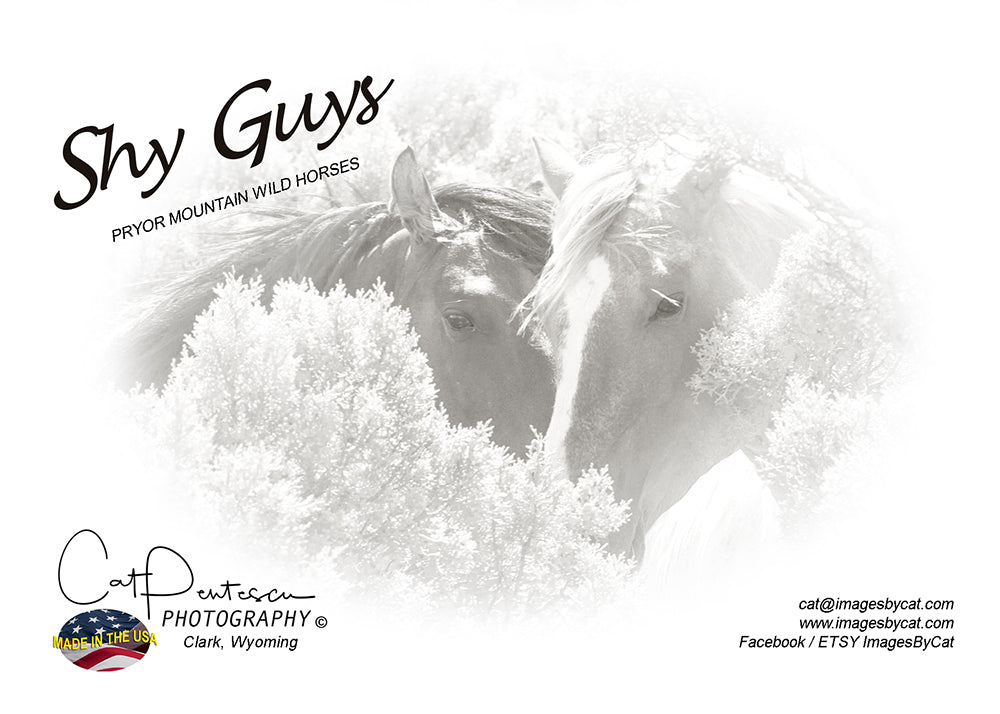 Greeting Card - SHY GUYS