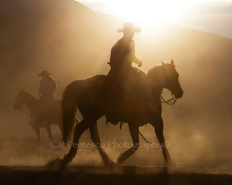 DUSTY TRAIL