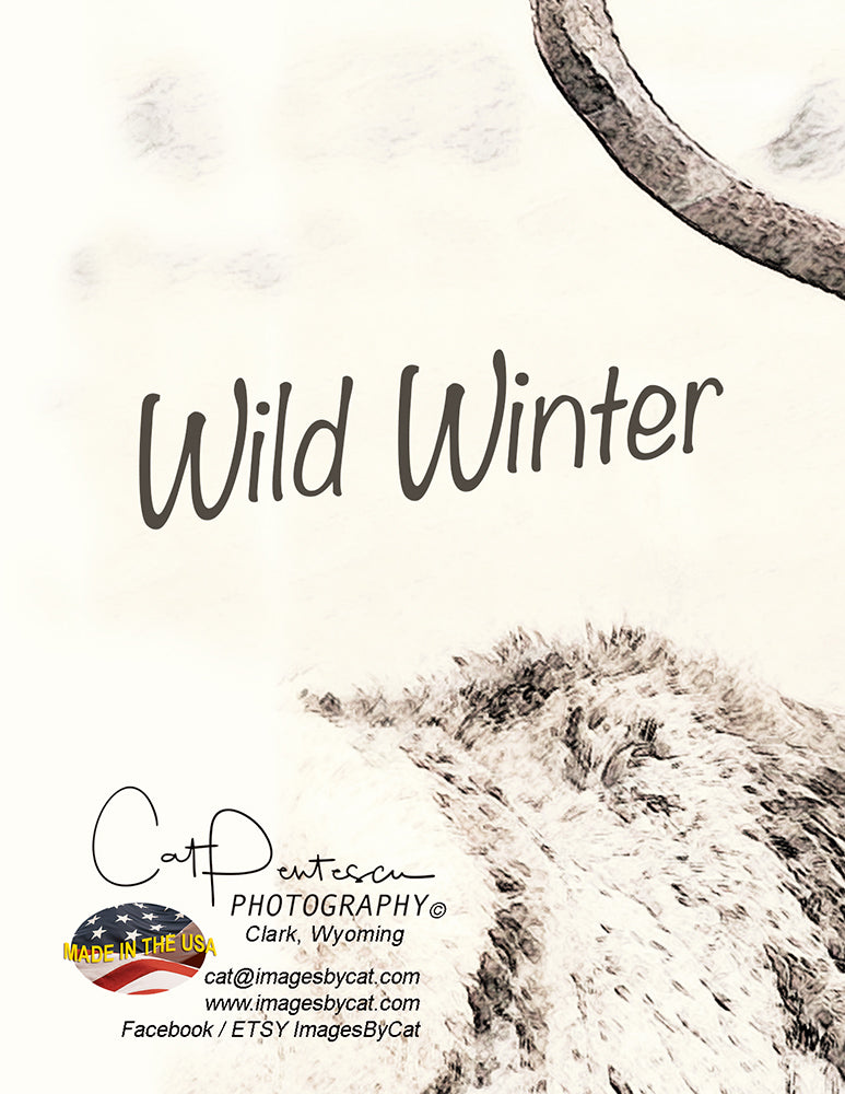 Note Cards - WILD WINTER