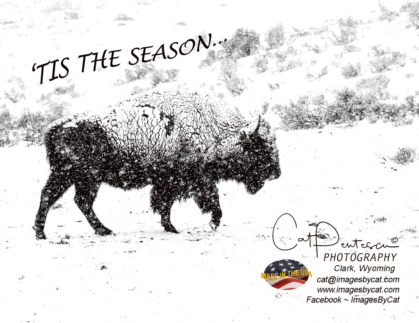 Note Cards - TIS THE SEASON