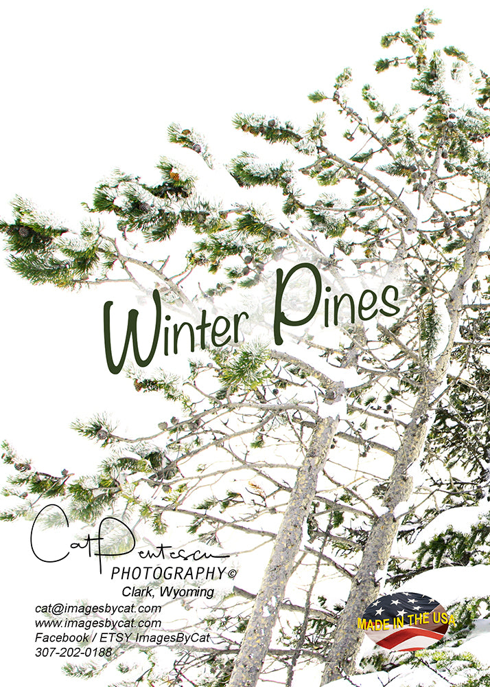 Greeting Card - WINTER PINES
