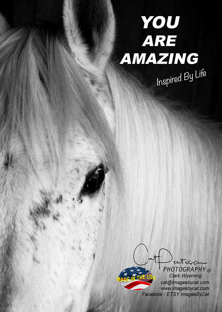Greeting Card - YOU ARE AMAZING (HORSE)