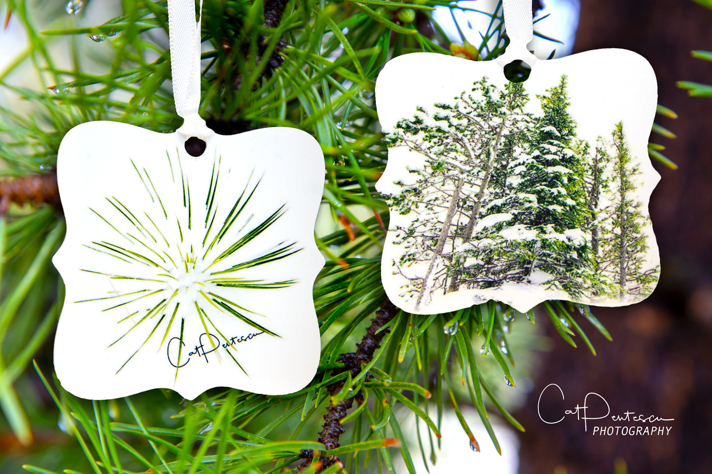 Ornament - YUCCA PINES - Metal