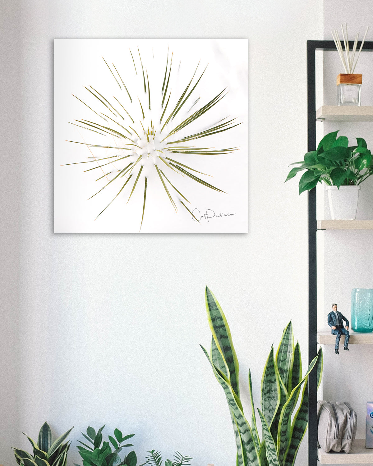 YUCCA SNOW