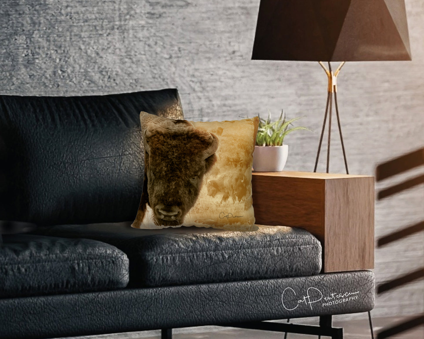 OH BUFFALO ACCENT PILLOW COVER
