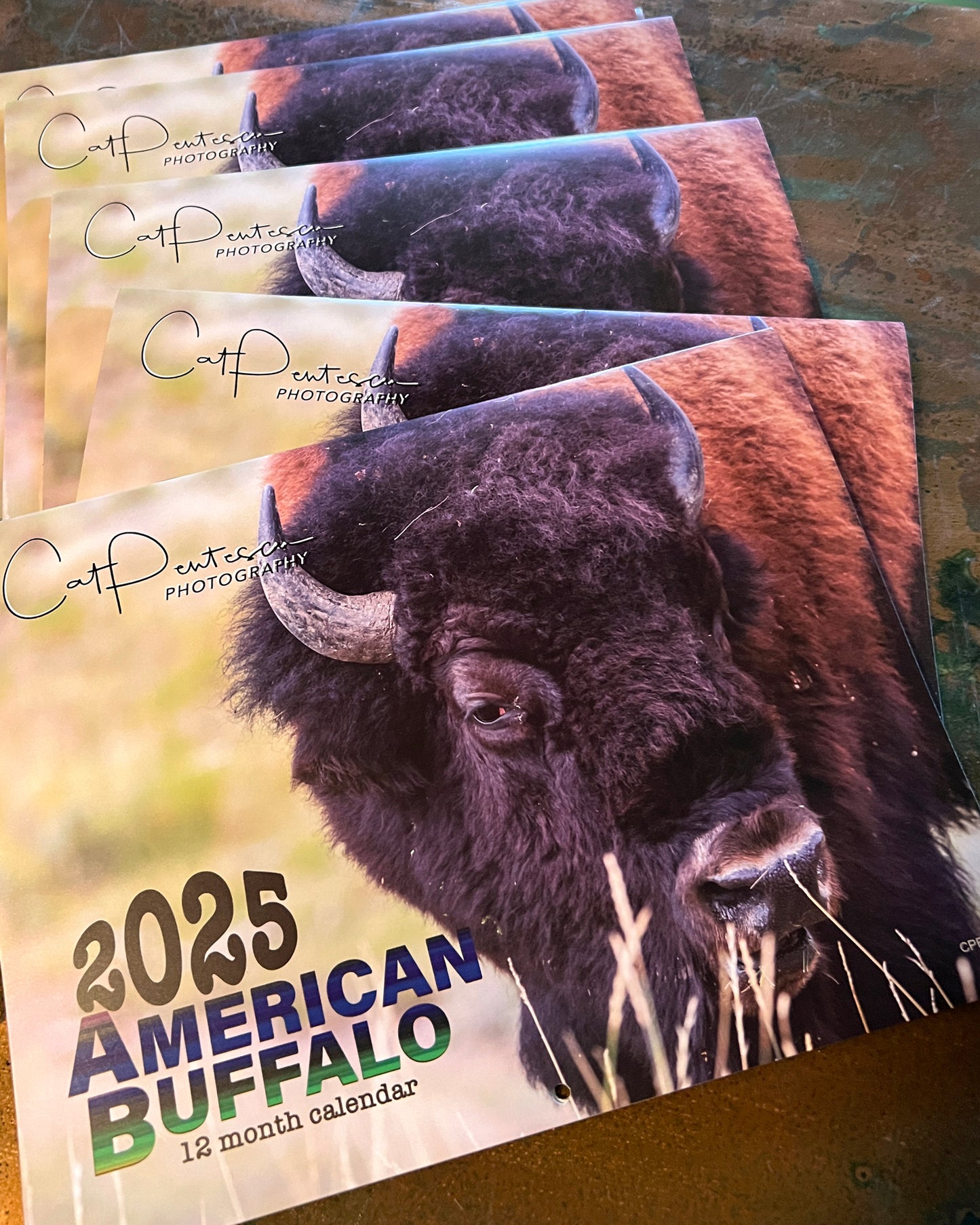 2025 AMERICAN BUFFALO CALENDAR