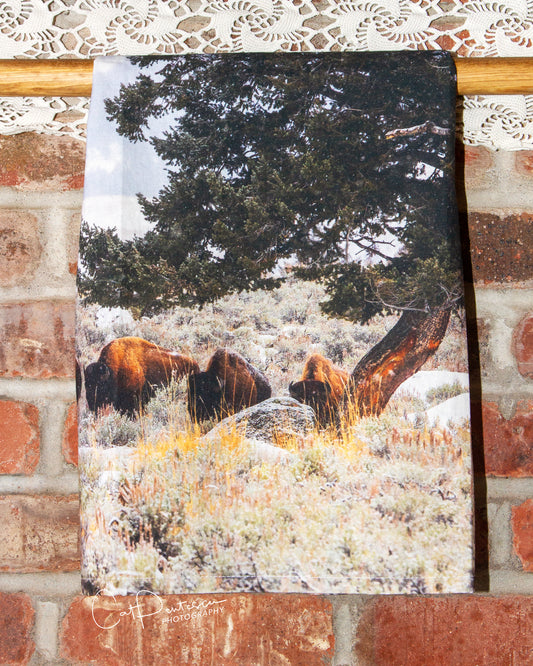 WALKING WILD FLOUR SACK TOWEL