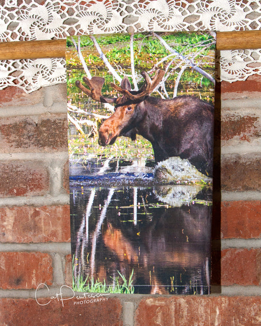 KEEPING COOL FLOUR SACK TOWEL