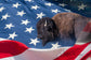 AMERICAN