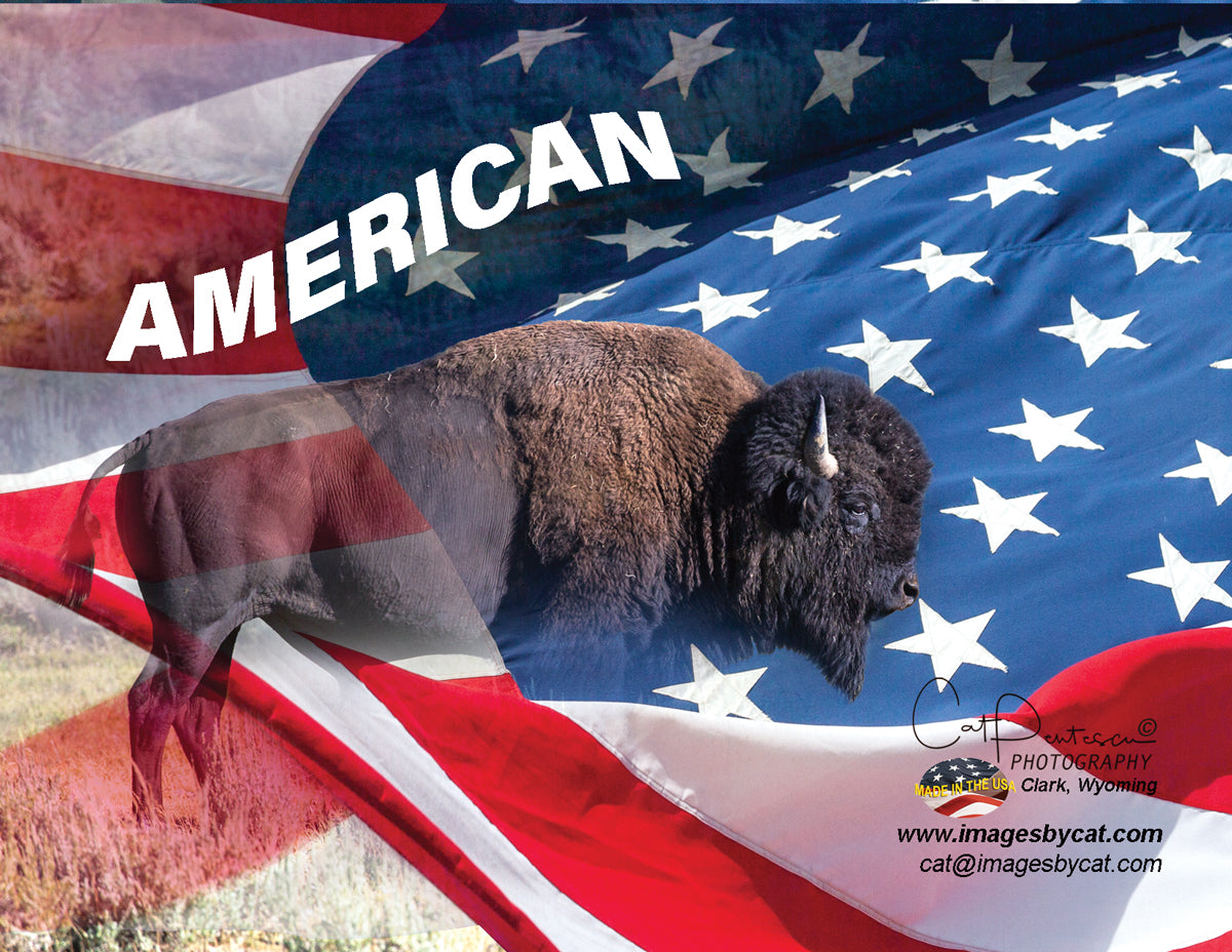 Note Cards - AMERICAN