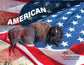 Note Cards - AMERICAN