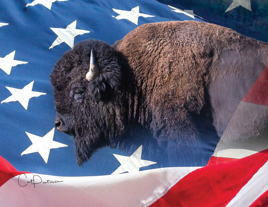 Note Cards - AMERICAN