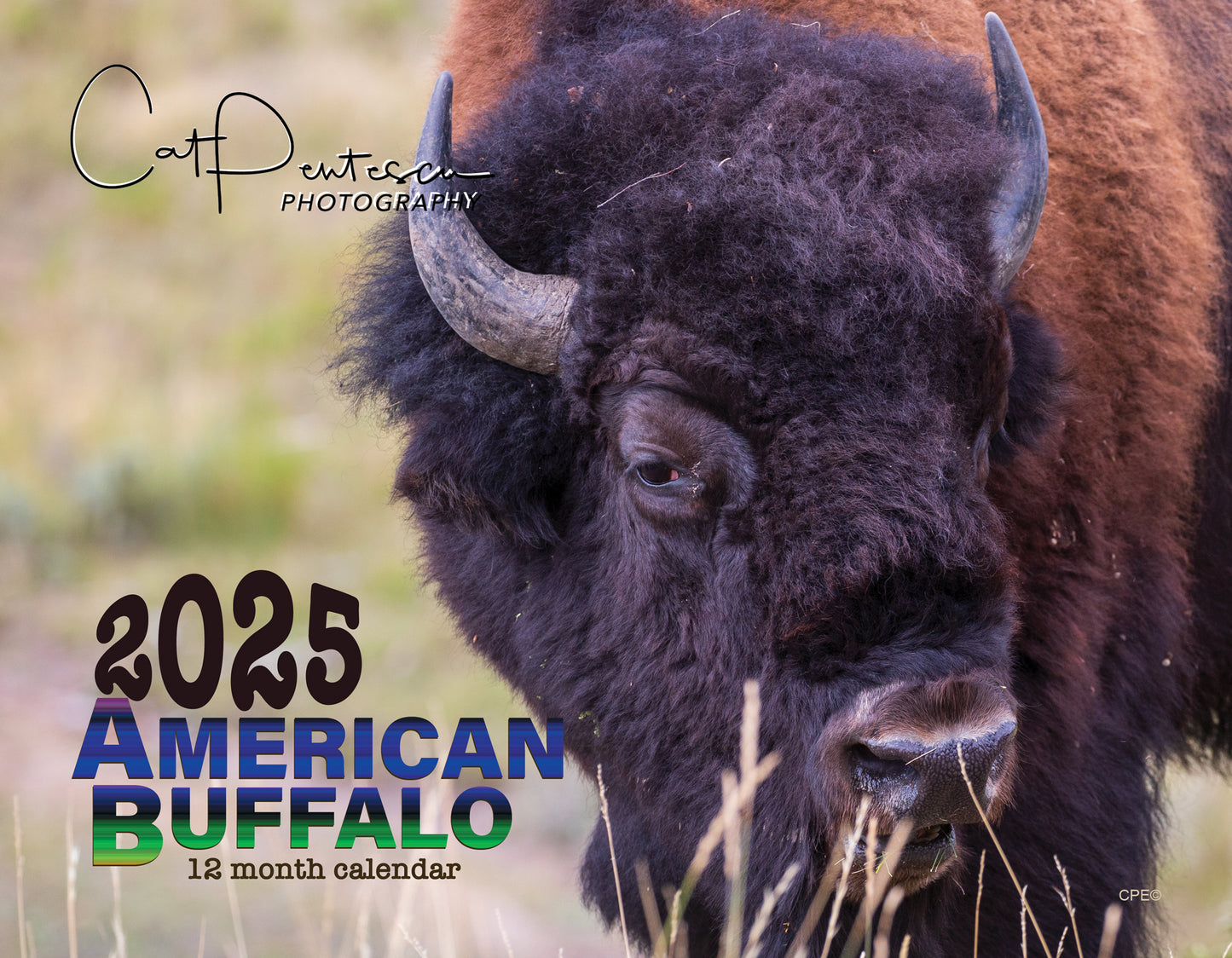 2025 AMERICAN BUFFALO CALENDAR