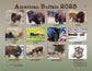 2025 AMERICAN BUFFALO CALENDAR