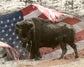 AMERICAN HISTORY