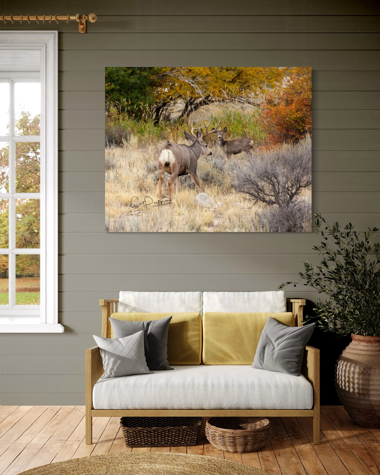 AUTUMN ANTLERS