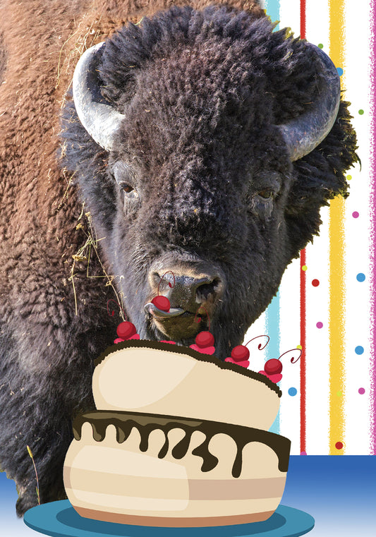 BUFFALO LOVER's Birthday Cake Card