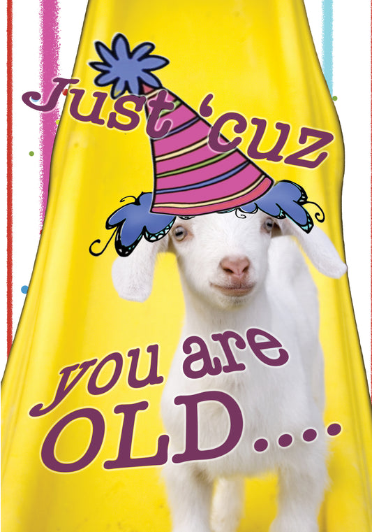 Birthday Card for those that LIKE TO HAVE FUN!