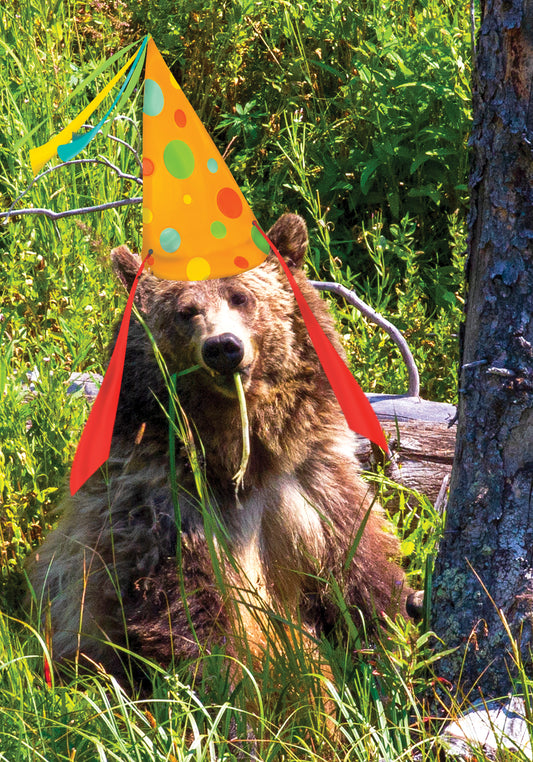 Birthday Card for the GRIZZLY ONE