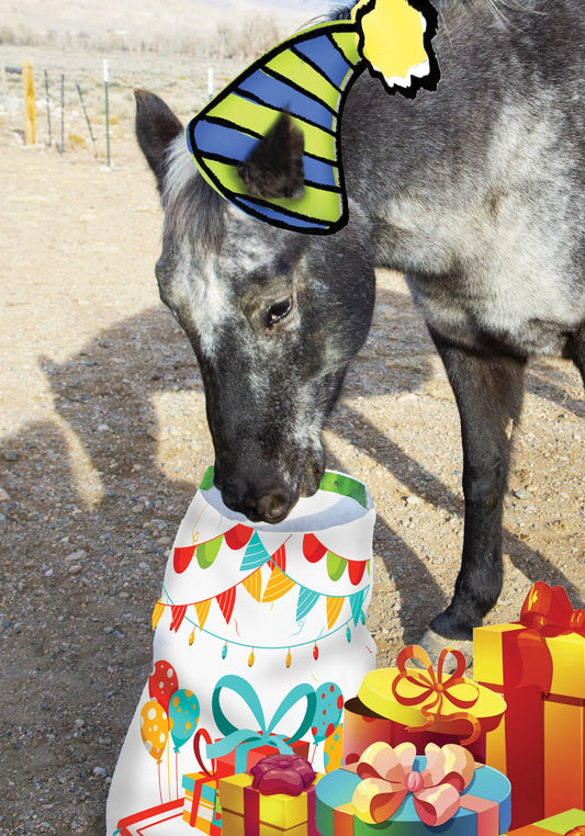 HORSE LOVERS Birthday Card