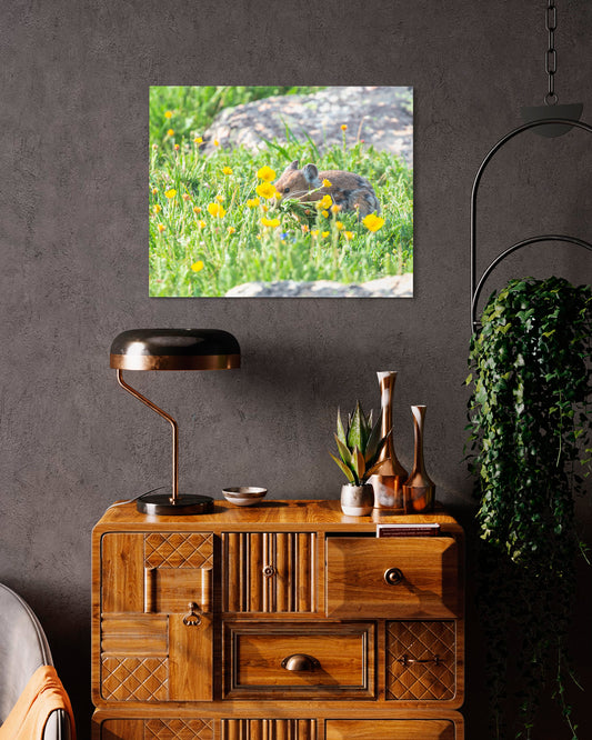 A BOUQUET OF FLOWERS