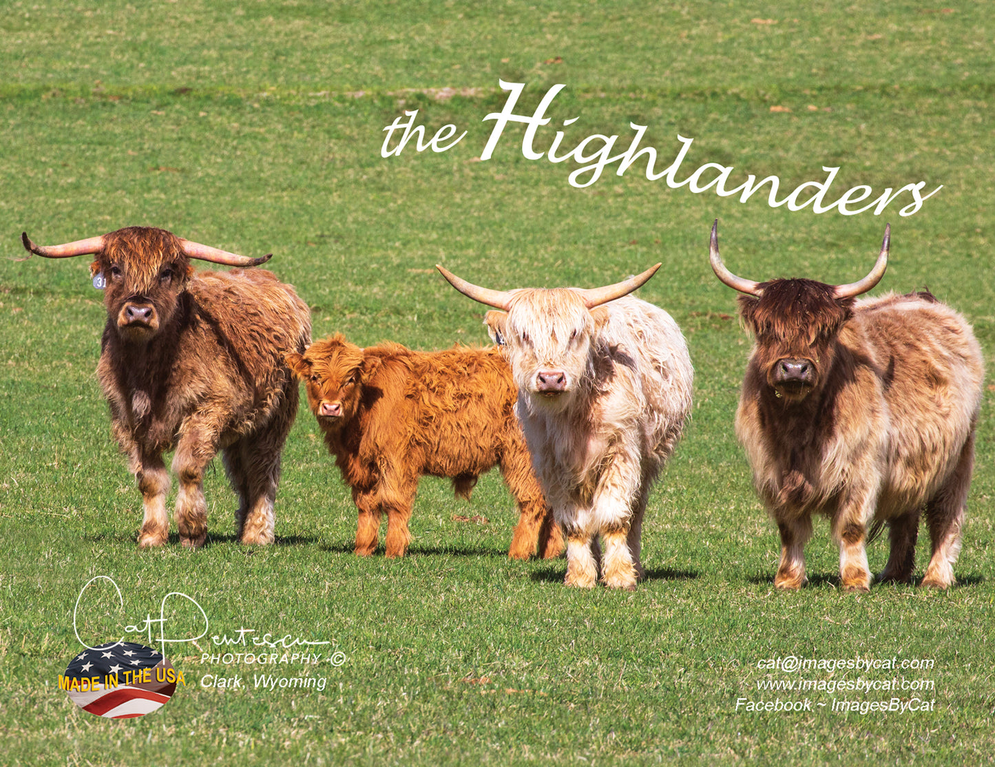 Note Cards - THE HIGHLANDERS