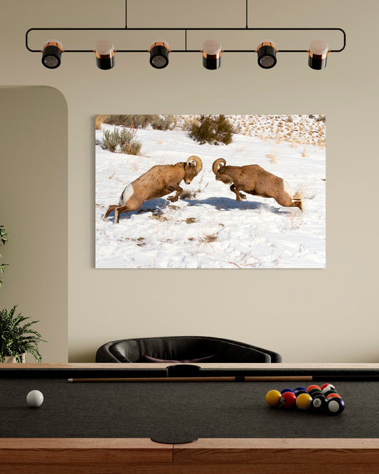 3...2...1... IMPACT!