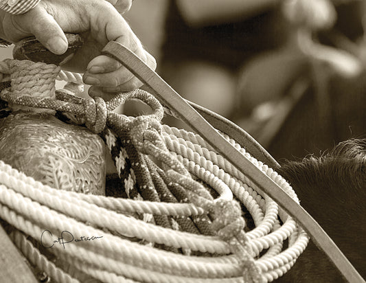 Note Cards - IN THE SADDLE