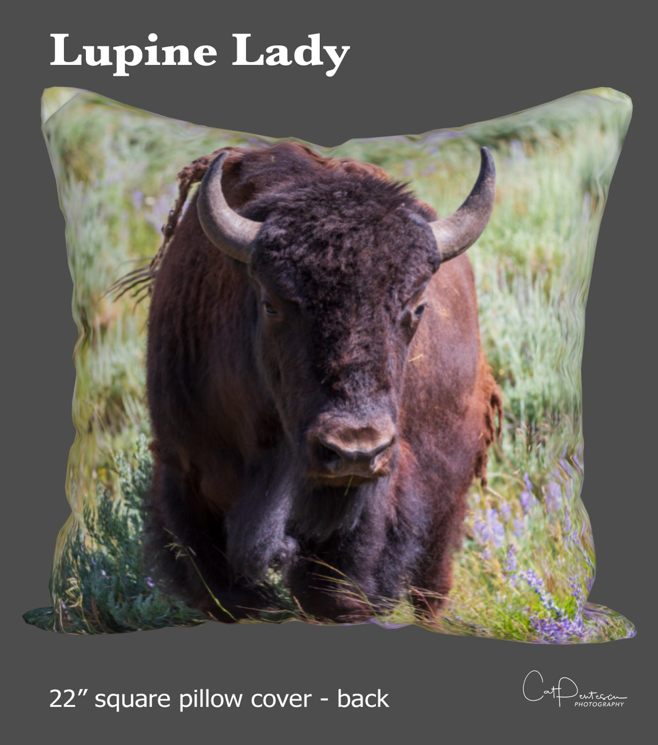 LUPINE LADY ACCENT PILLOW