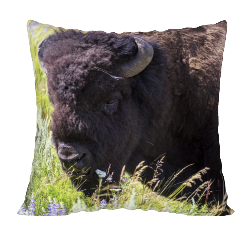 LUPINE LAD ACCENT PILLOW