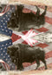 AMERICAN HISTORY FLOUR SACK TOWEL