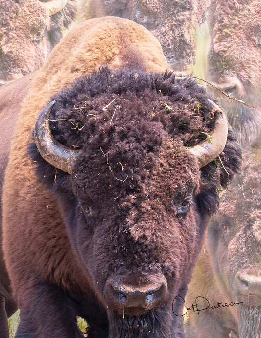 Note Cards - POWERFUL SPIRIT