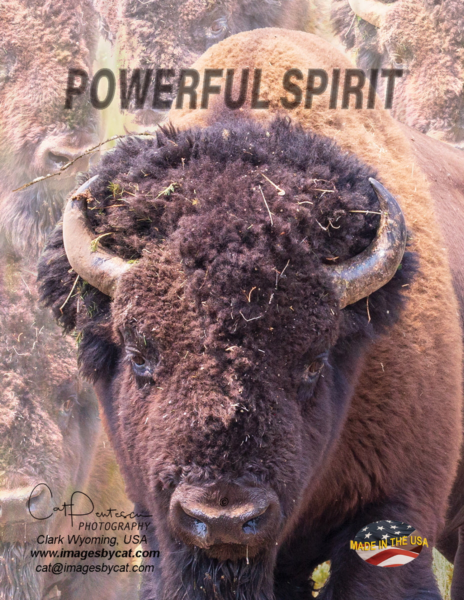 Note Cards - POWERFUL SPIRIT
