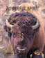 Note Cards - POWERFUL SPIRIT