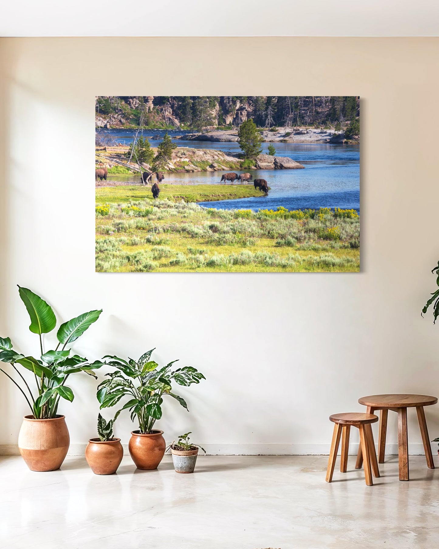 THE RIVERBANK