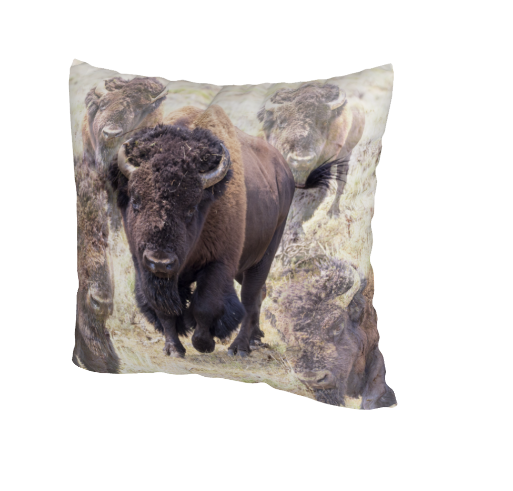 SPIRIT OF TATANKA ACCENT PILLOW COVER