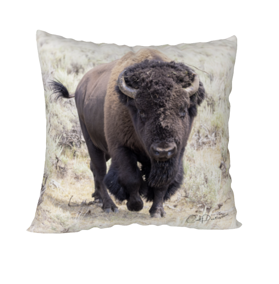 TATANKA ACCENT PILLOW COVER