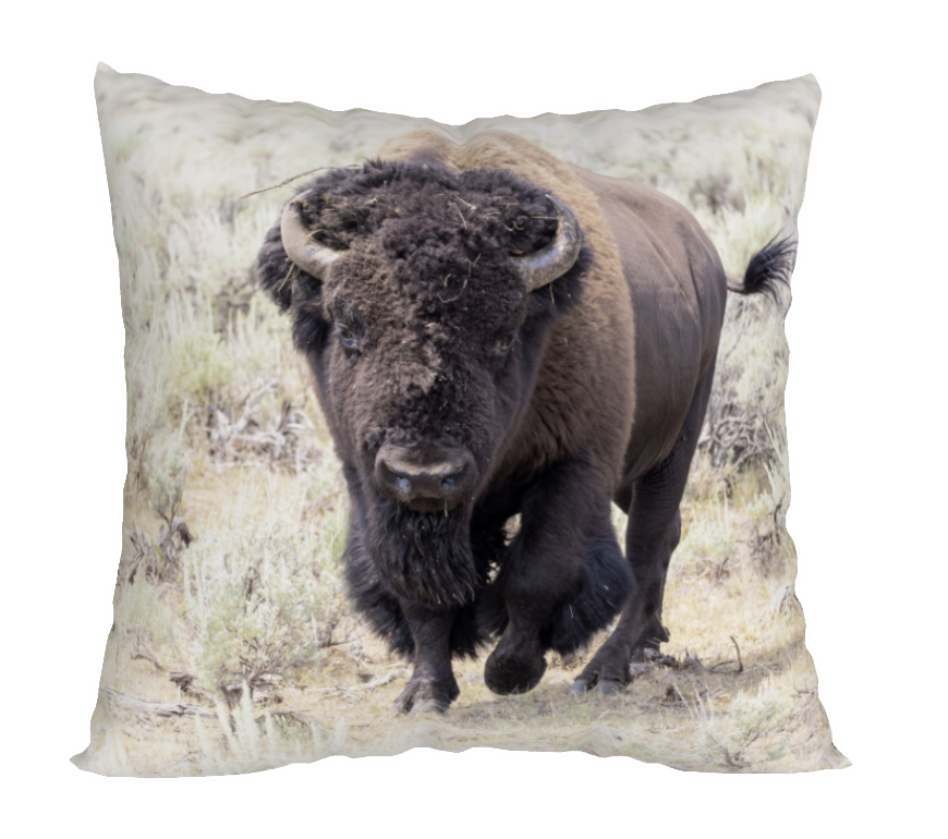 TATANKA ACCENT PILLOW COVER