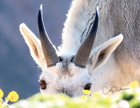 Note Cards - UNEXPECTED