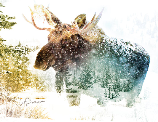 Note Cards - WINTER WALK