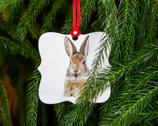 Ornament - SNOW SWEET - Metal