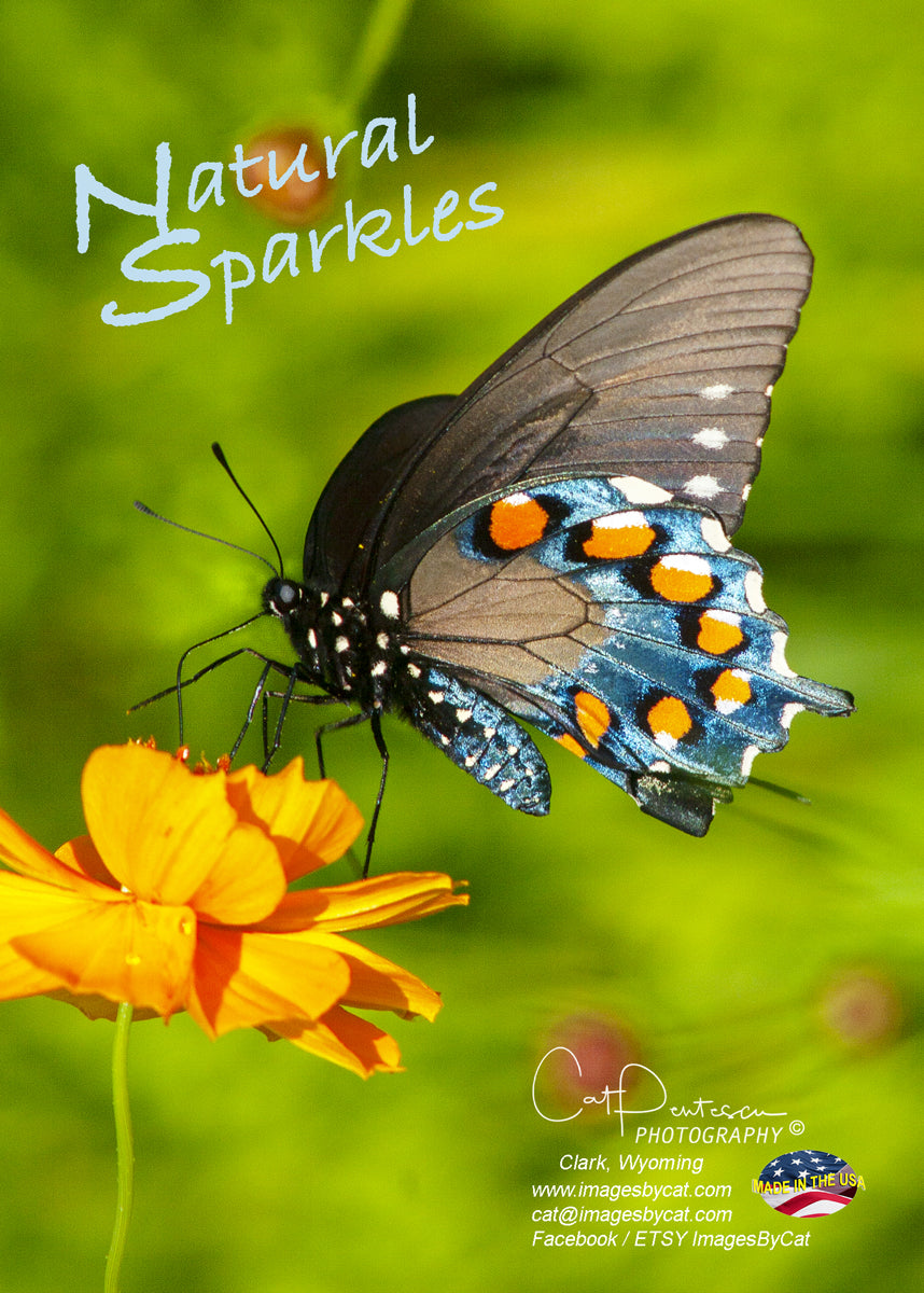 Greeting Card - NATURAL SPARKLES