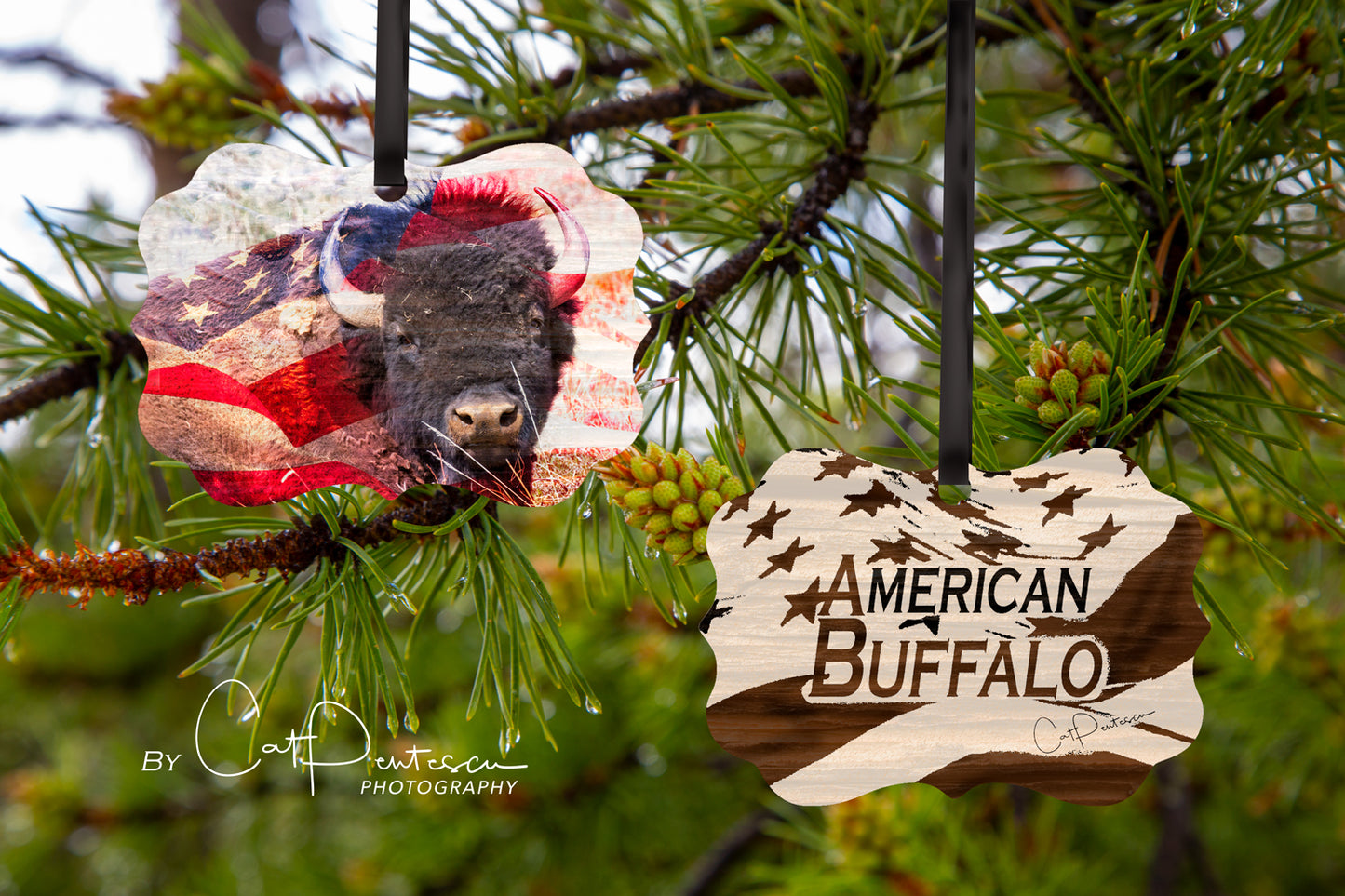 Ornament - AMERICAN  BUFFALO - Wooden