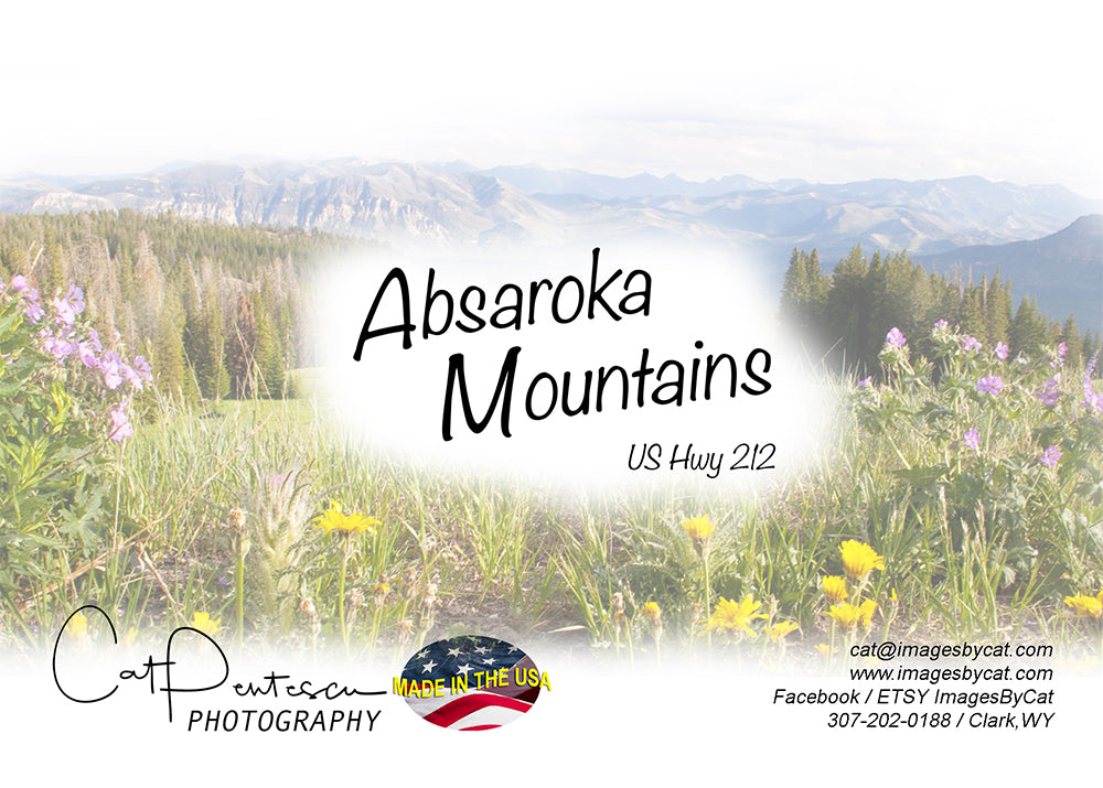 Greeting Card - ABSAROKA MOUNTAINS