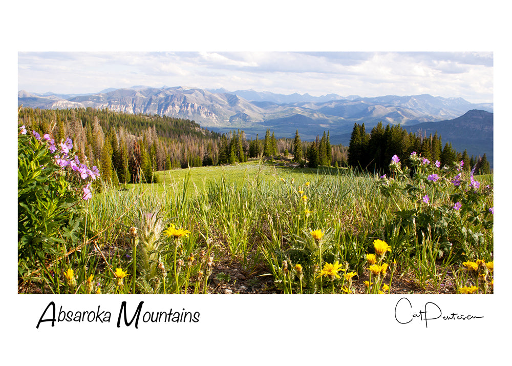 Greeting Card - ABSAROKA MOUNTAINS