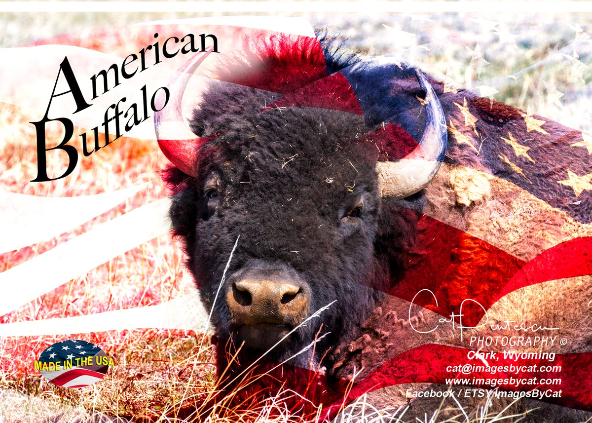 Greeting Card - AMERICAN BUFFALO