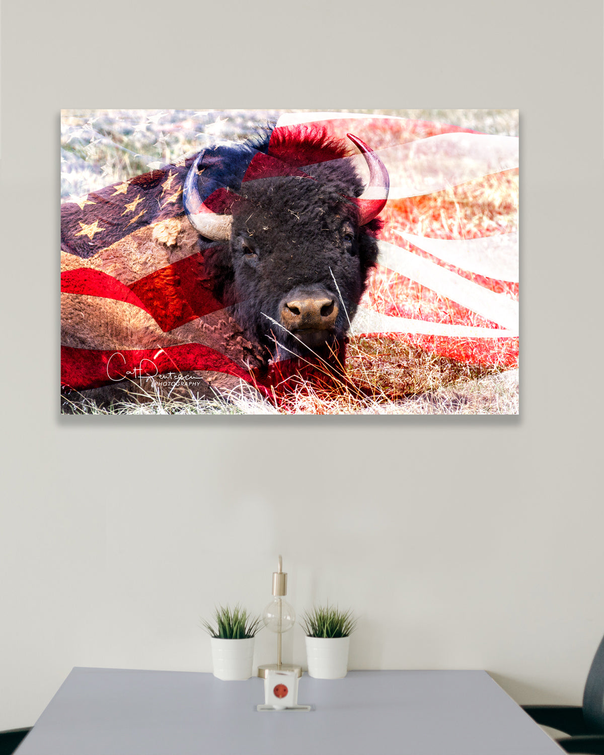 Buffalo inlaid in the American flag in an office.