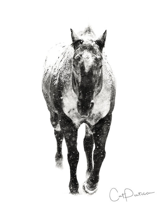 Note Cards - APPALOOSA SNOW